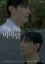 Thundercloud Rainstorm (2025)